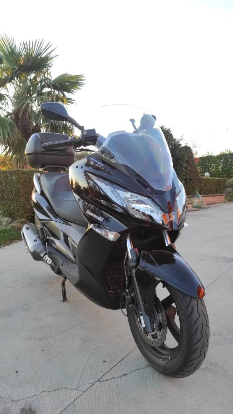 Kawasaki J 300 ABS (2014 - 16) (2)