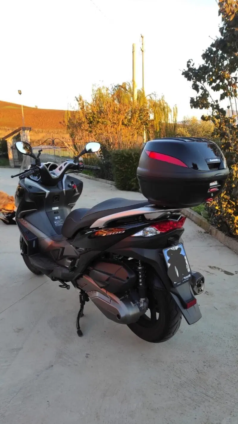 Kawasaki J 300 ABS (2014 - 16) (4)