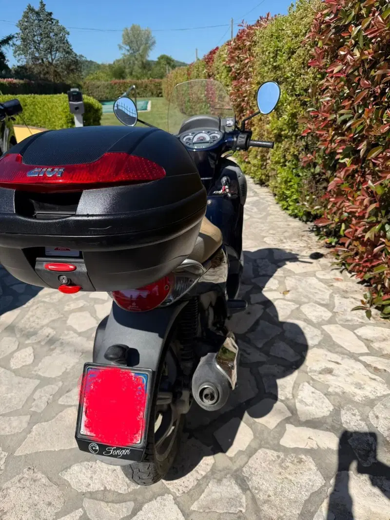 Aprilia Scarabeo 200 i.e. (2009 - 11) (6)