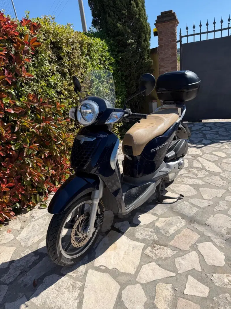 Aprilia Scarabeo 200 i.e. (2009 - 11) (7)