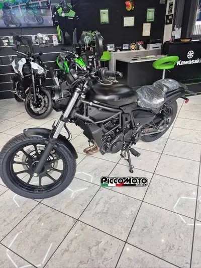 Kawasaki Eliminator 500 (2024 - 26) nuova