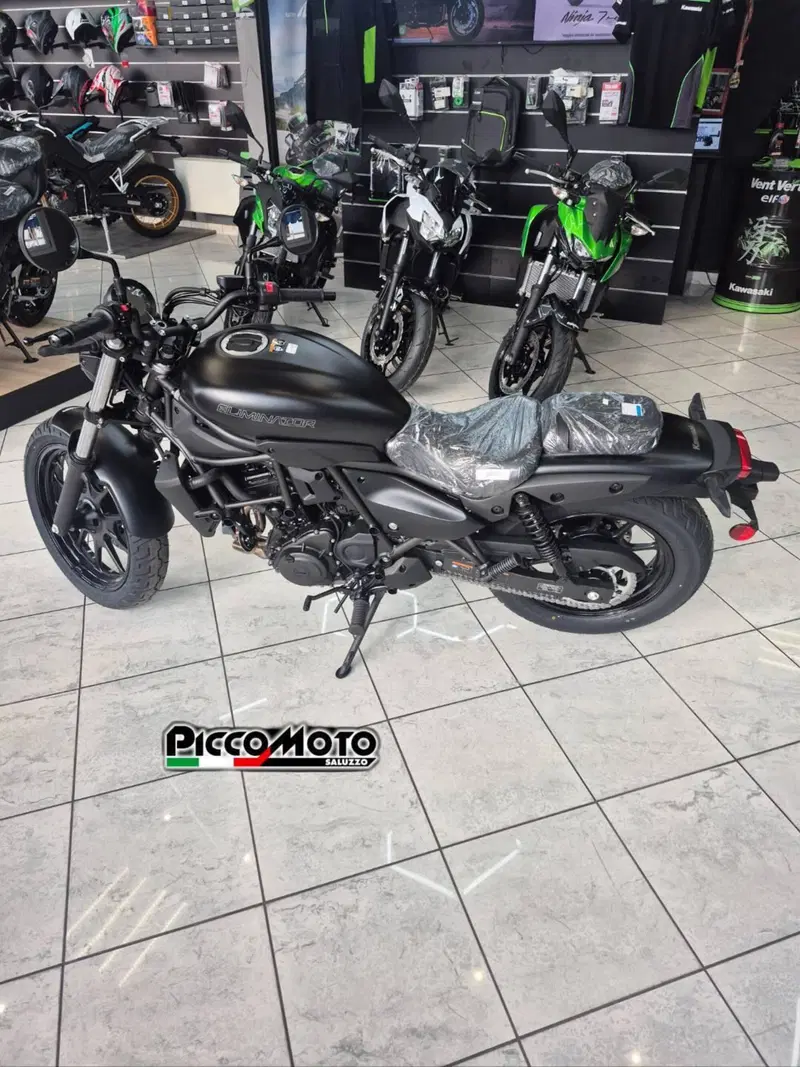 Kawasaki Eliminator 500 (2024 - 26) (3)