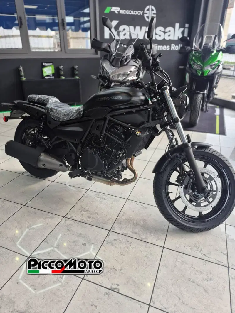 Kawasaki Eliminator 500 (2024 - 26) (4)