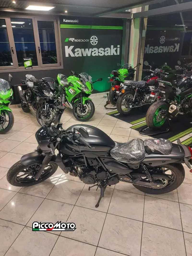 Kawasaki Eliminator 500 SE (2024 - 26)