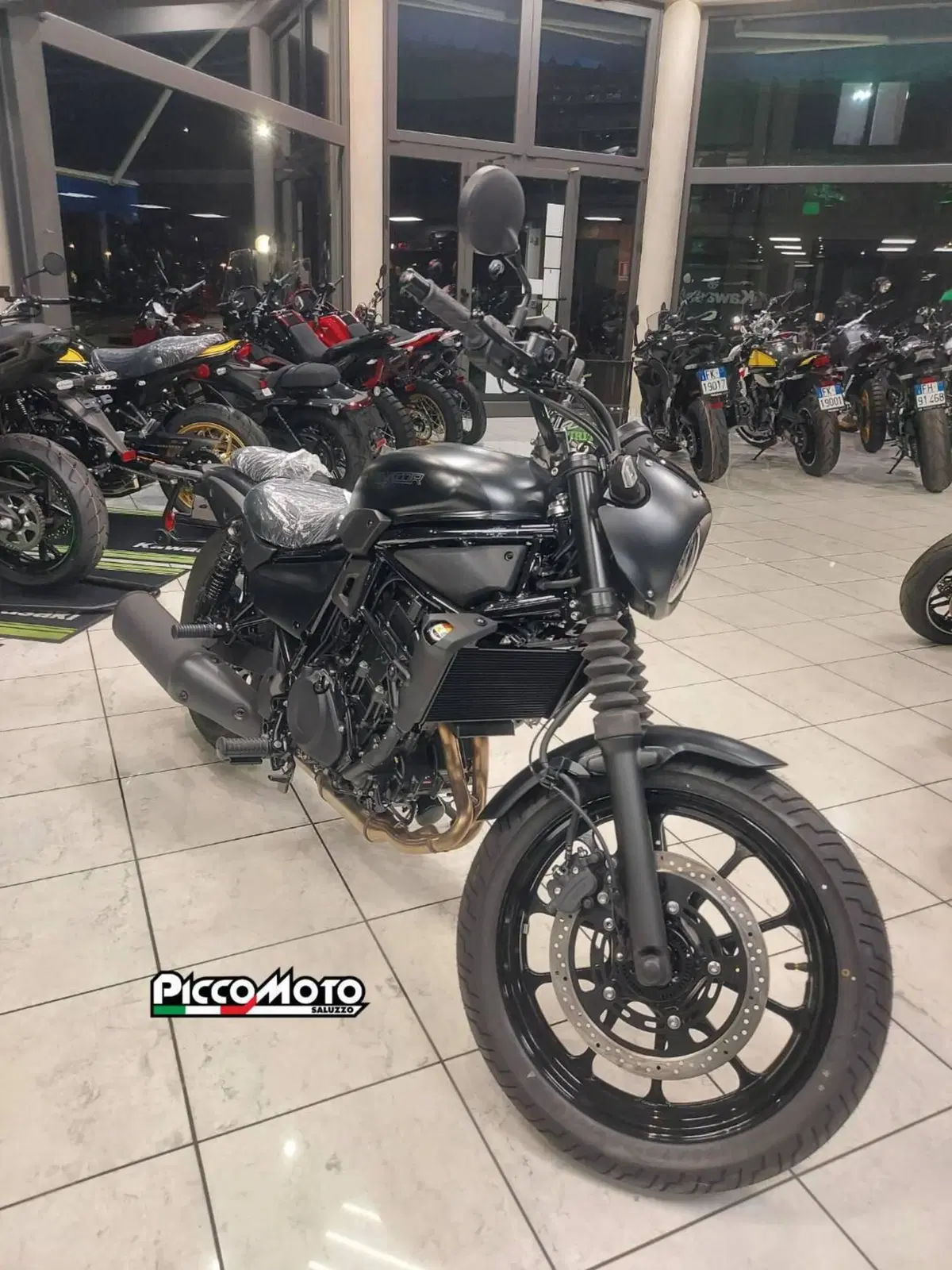Kawasaki Eliminator 500 SE (2024 - 26) (3)
