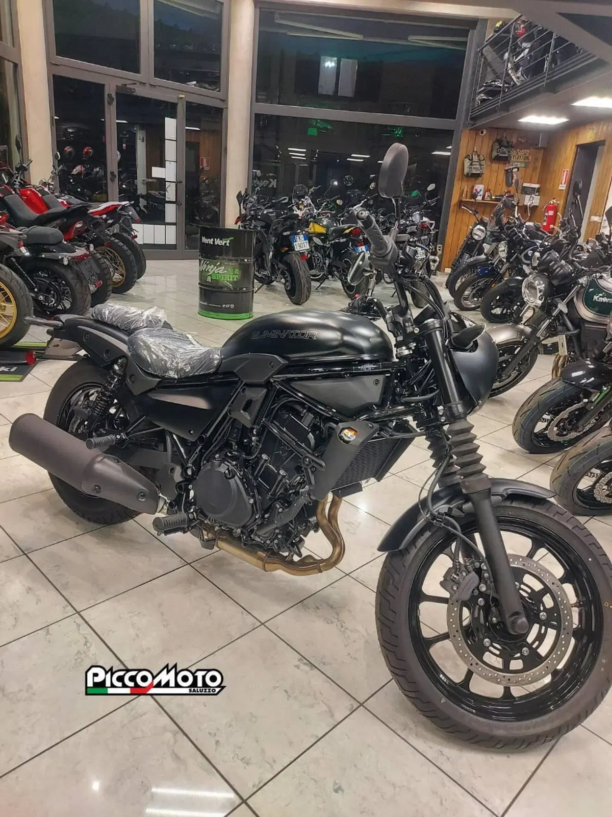 Kawasaki Eliminator 500 SE (2024 - 26) (4)