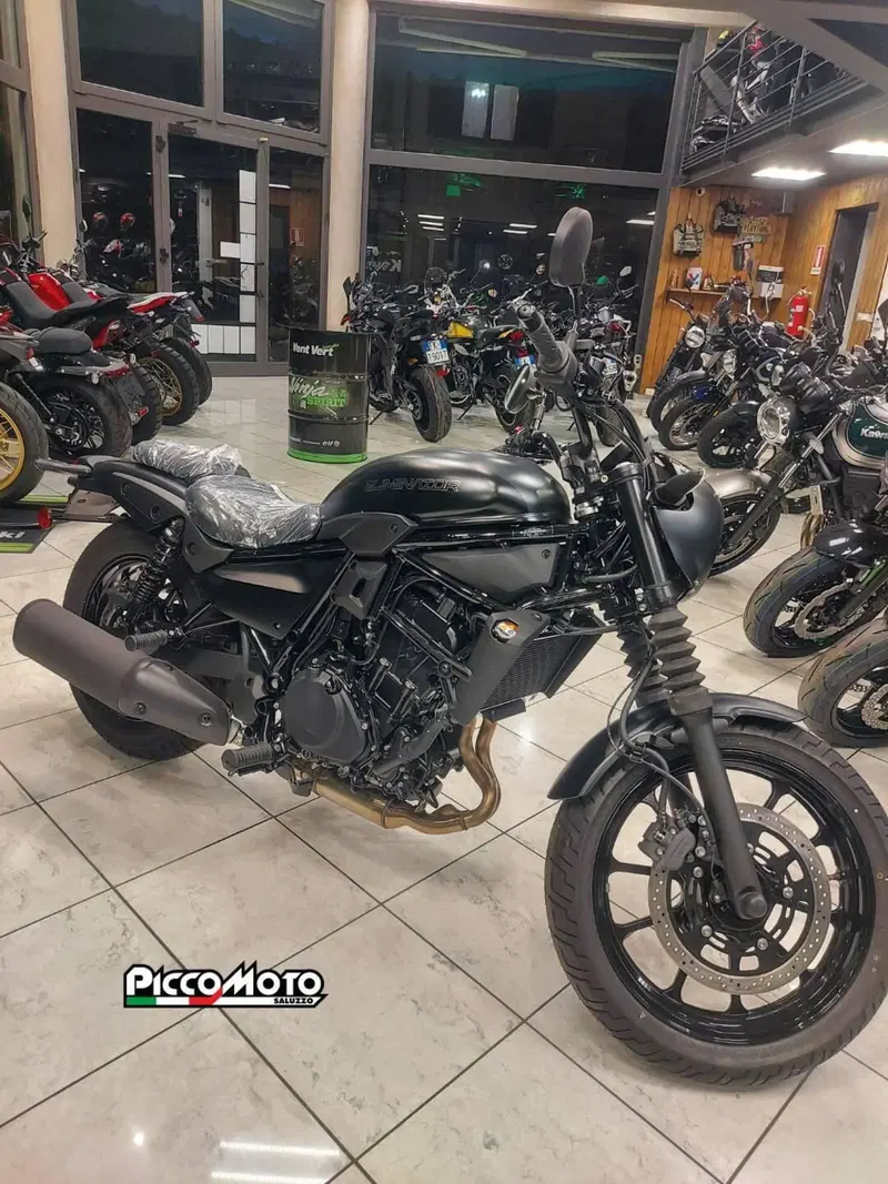 Kawasaki Eliminator 500 SE (2024 - 26) (4)