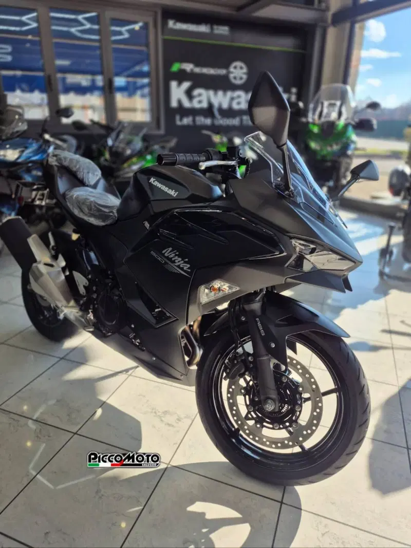 Kawasaki Ninja 500 (2024 - 26) (2)