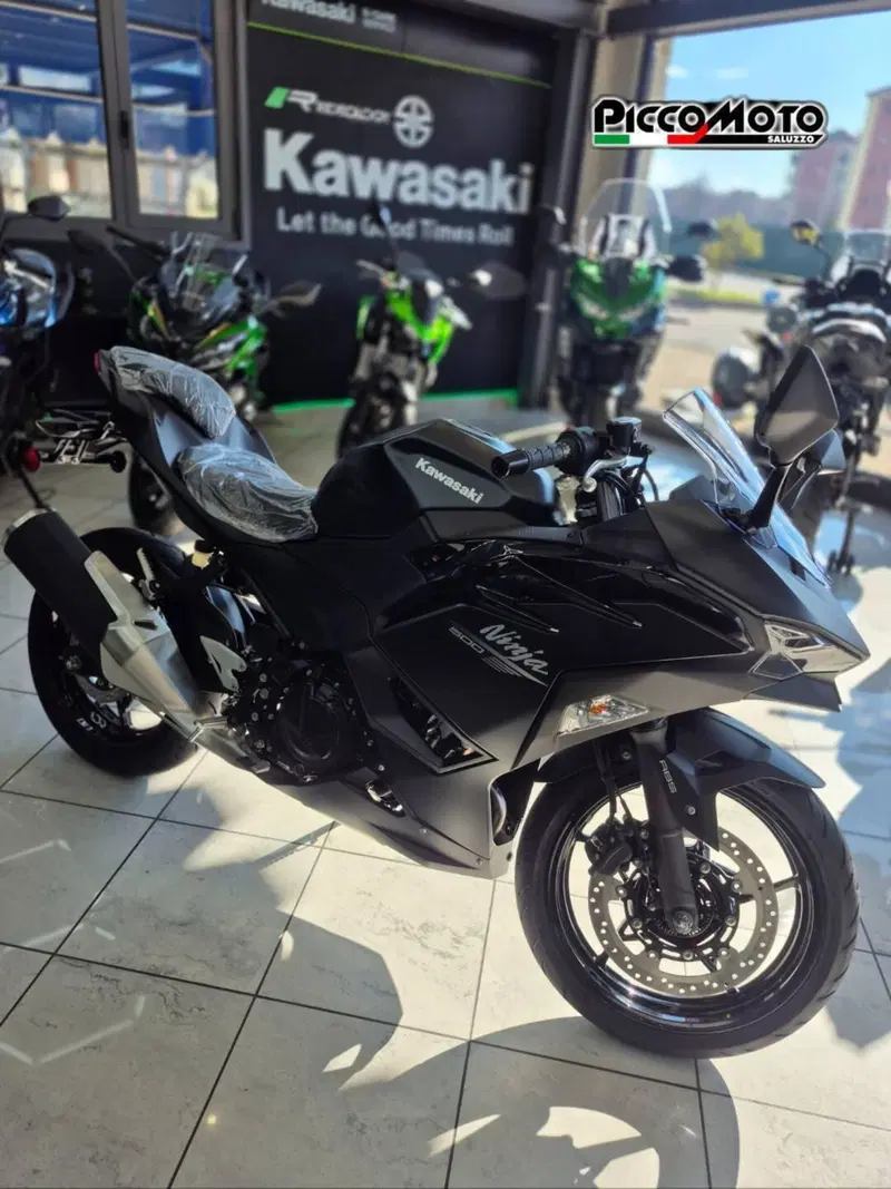 Kawasaki Ninja 500 (2024 - 26) (3)