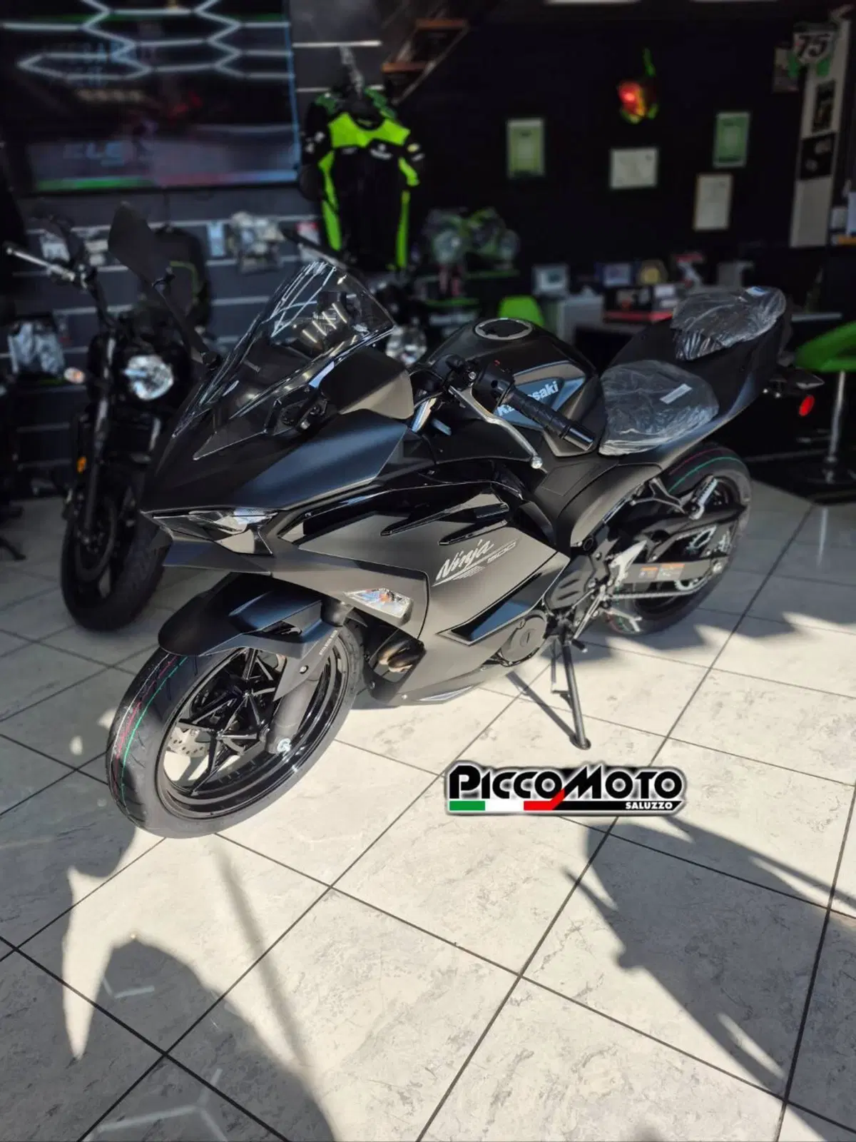 Kawasaki Ninja 500 (2024 - 26) (4)