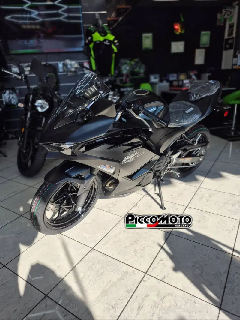 Kawasaki Ninja 500 (2024 - 26) (4)