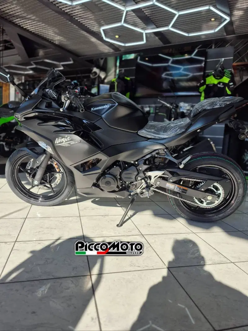 Kawasaki Ninja 500 (2024 - 26) (6)
