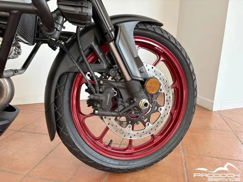 Suzuki V-Strom 1050SE (2023 - 24) (17)