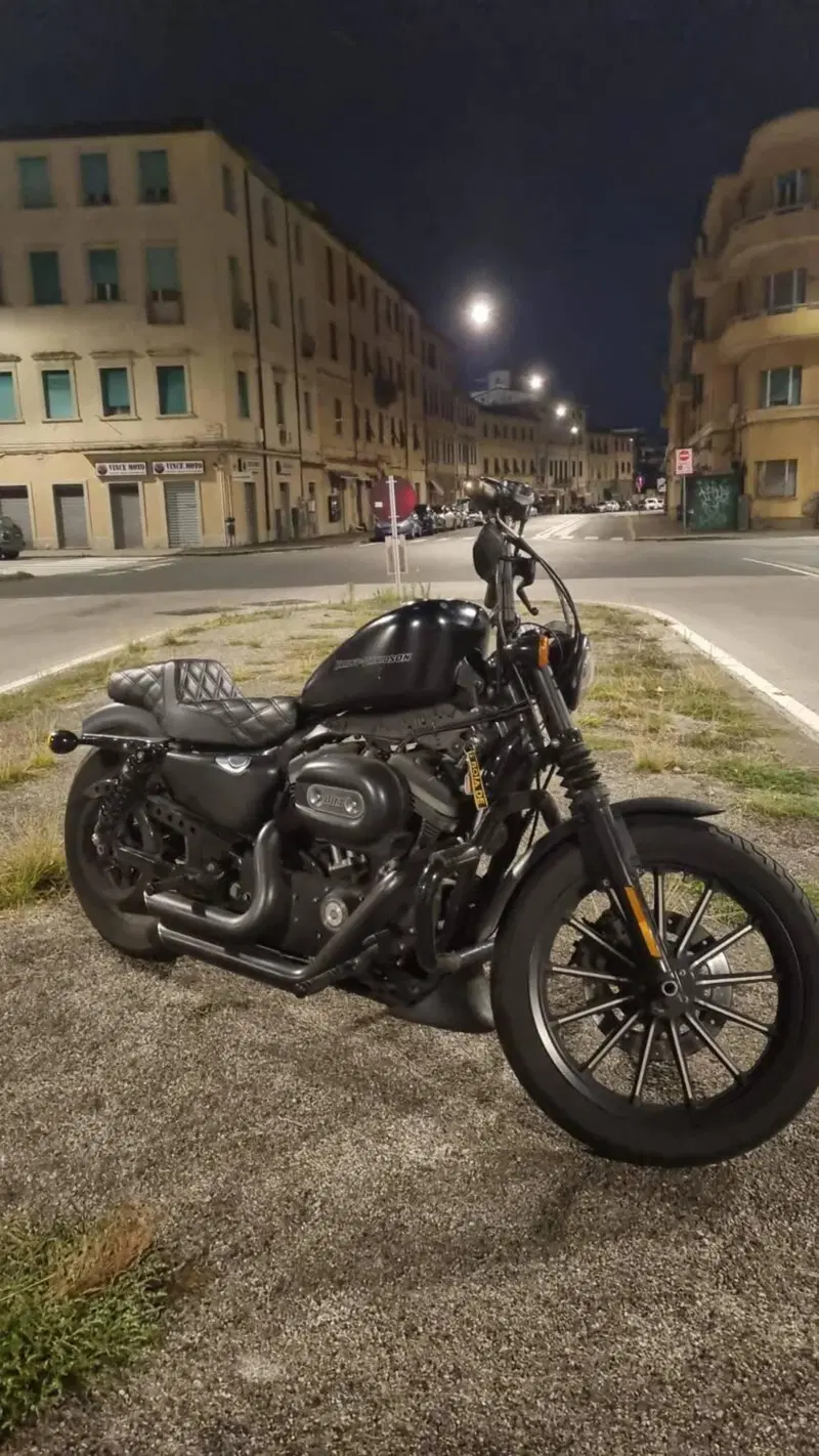 Harley-Davidson 883 Iron (2009 - 11) - XL 883N
