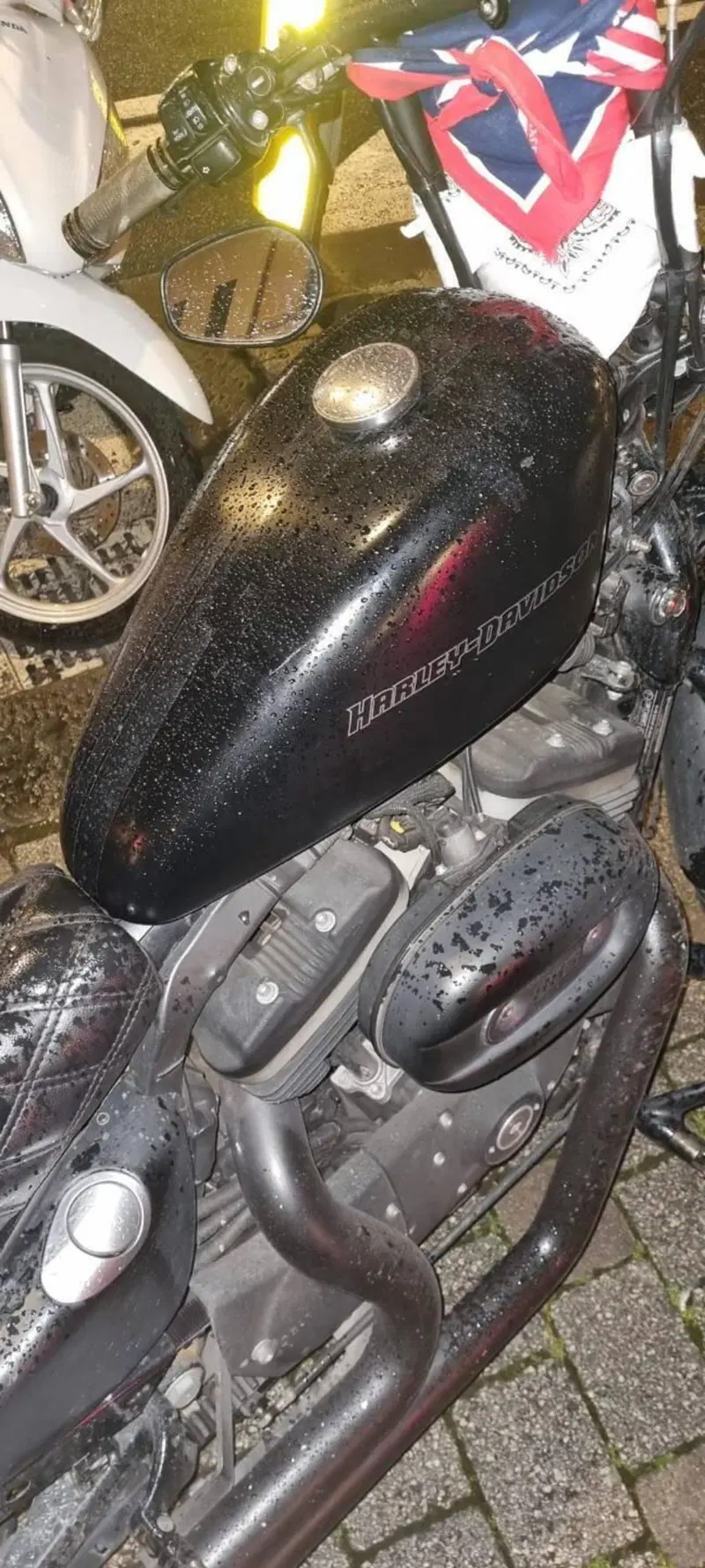 Harley-Davidson 883 Iron (2009 - 11) - XL 883N (4)