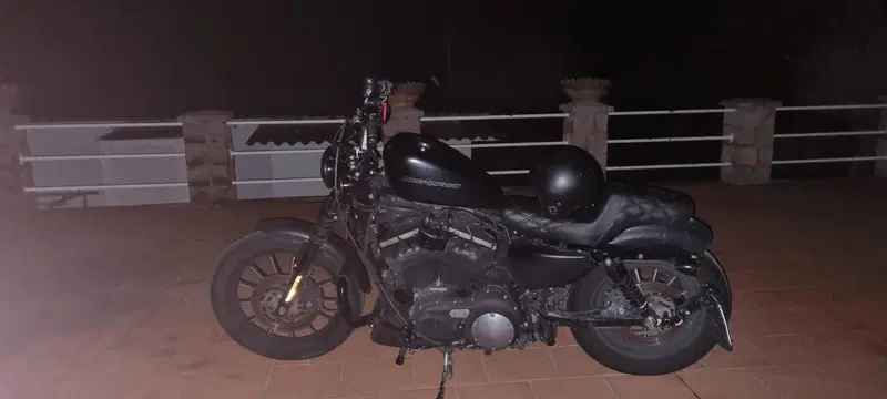 Harley-Davidson 883 Iron (2009 - 11) - XL 883N (5)