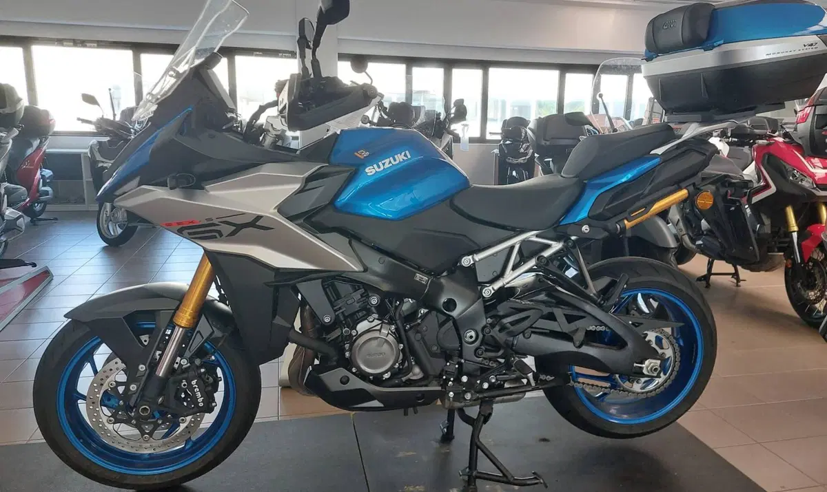 Suzuki GSX-S1000 (2021 - 25)