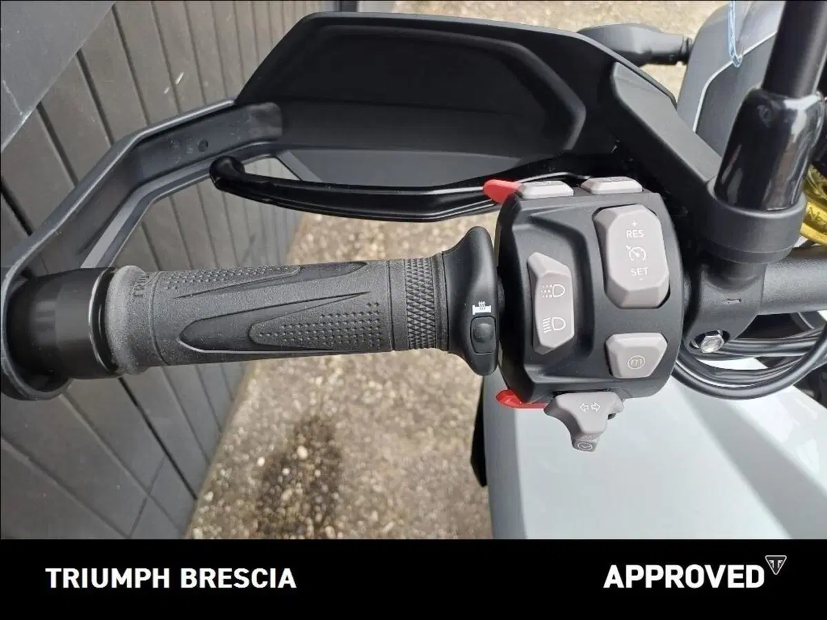Triumph Tiger 1200 GT Pro (2024 - 26) (9)