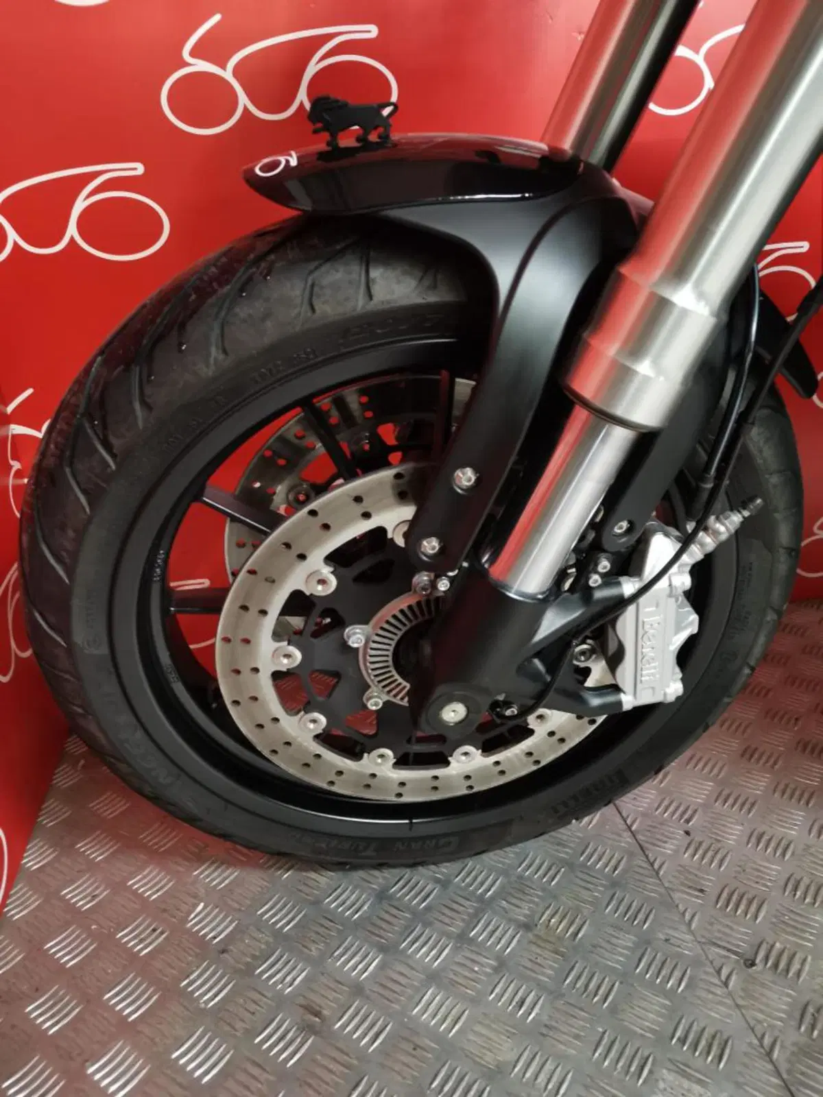 Benelli Leoncino 500 (2021 - 25) (5)