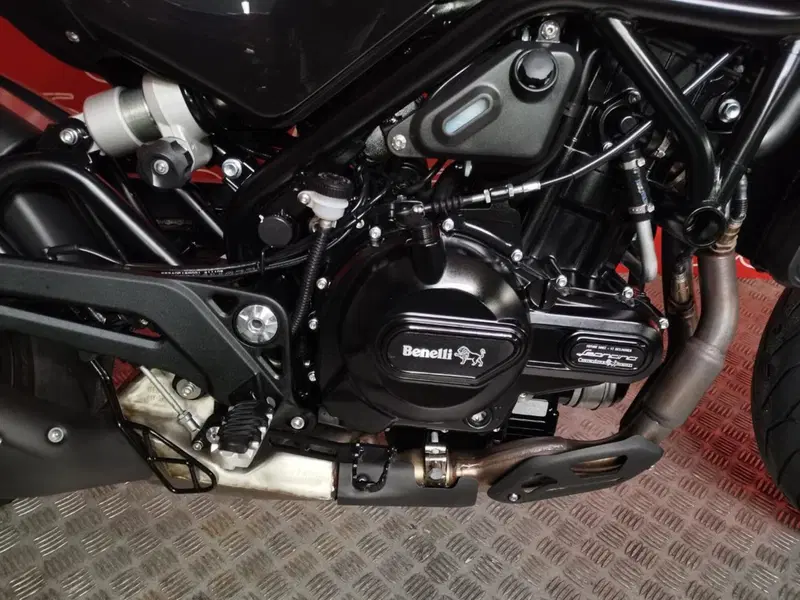 Benelli Leoncino 500 (2021 - 25) (6)