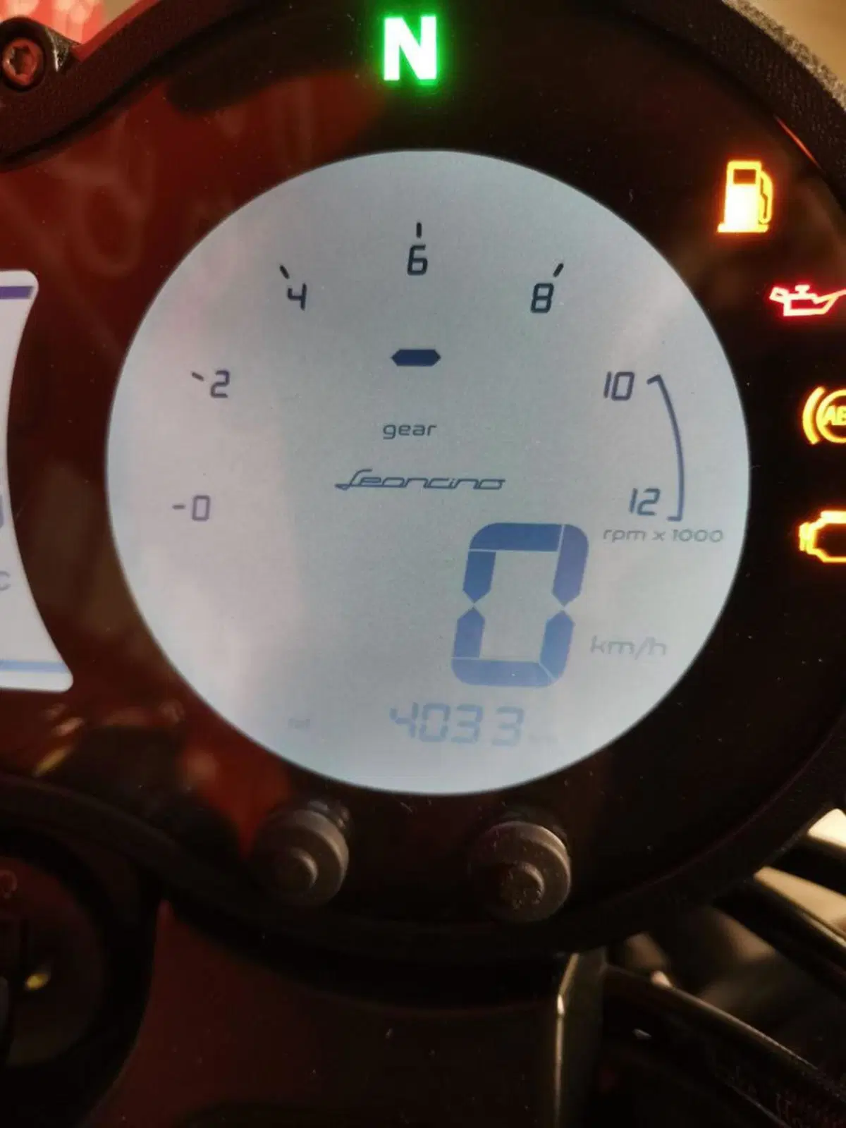 Benelli Leoncino 500 (2021 - 25) (8)