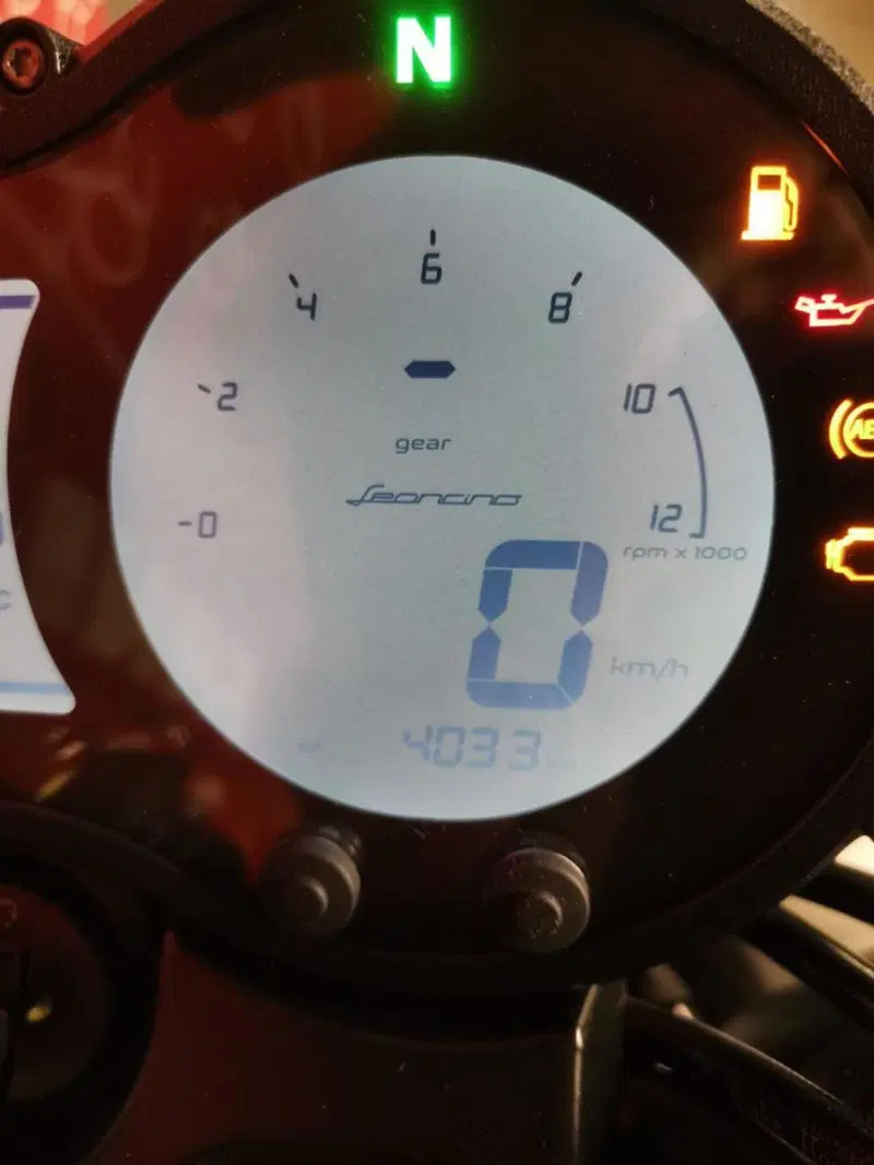 Benelli Leoncino 500 (2021 - 25) (8)