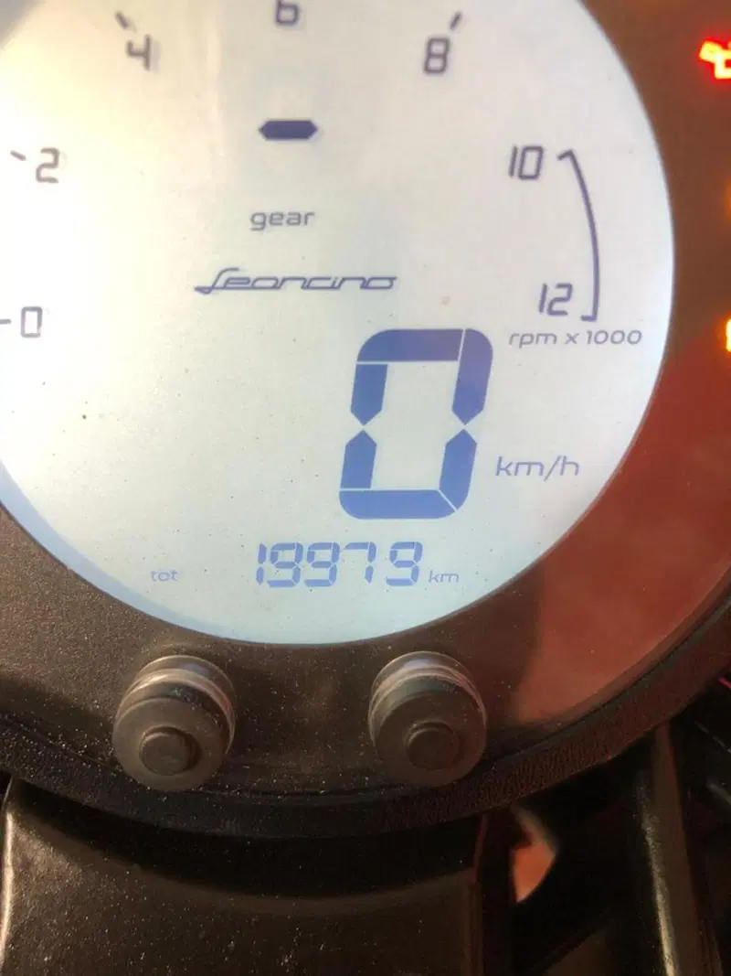 Benelli Leoncino 500 Trail (2021 - 26) (8)