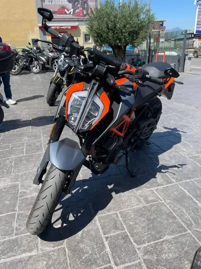 KTM 390 Duke (2024 - 25) usata