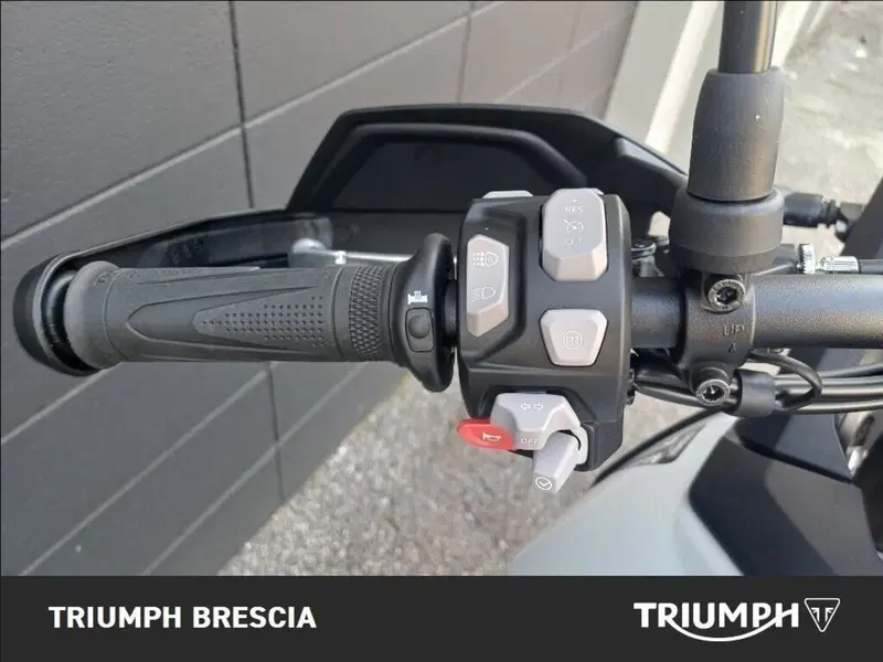 Triumph Tiger 900 Alpine Special Edition (2026) (7)