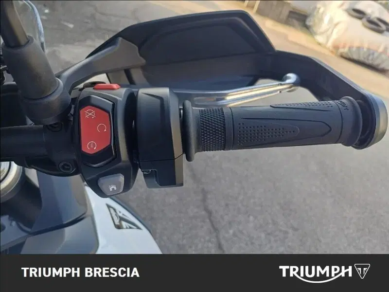 Triumph Tiger 900 Alpine Special Edition (2026) (8)