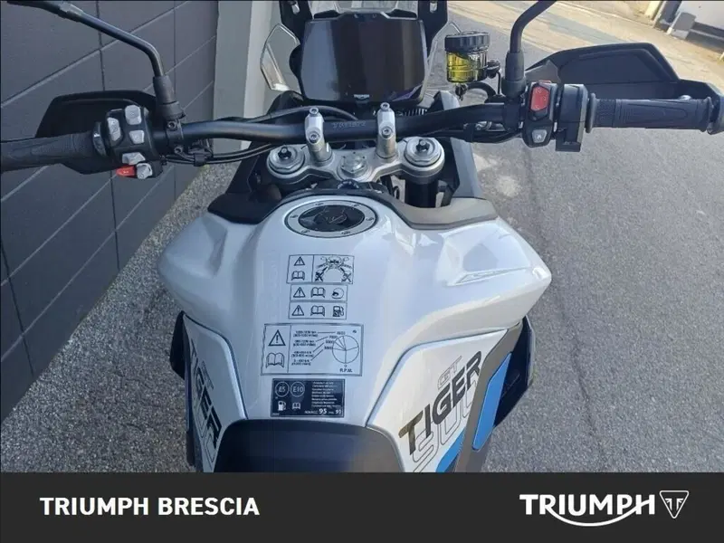 Triumph Tiger 900 Alpine Special Edition (2026) (6)