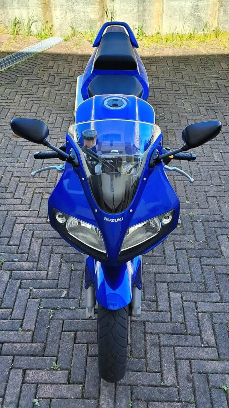 Suzuki SV 650 S (2003 - 06) (6)