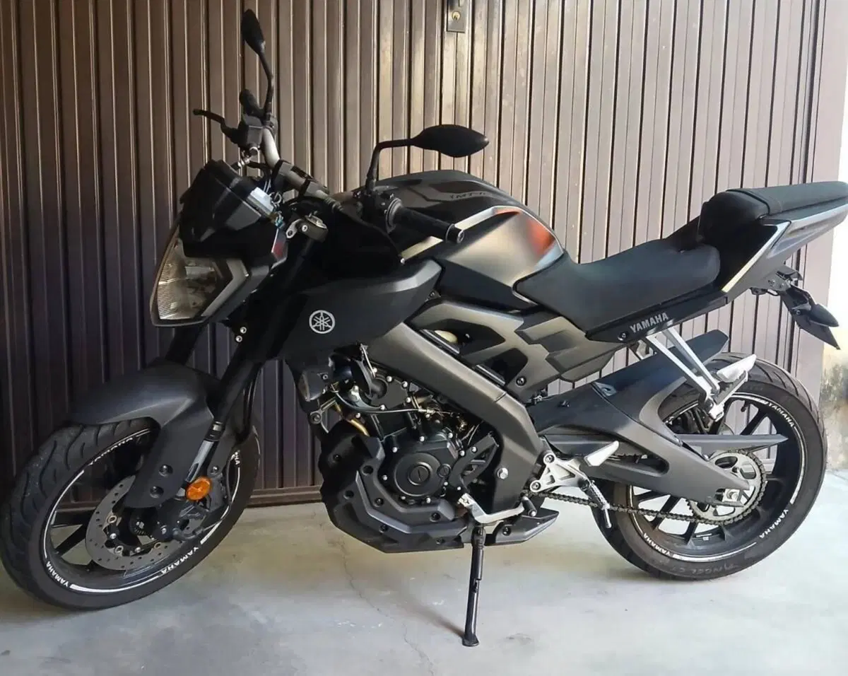 Yamaha MT-125 ABS (2017 - 19) (2)
