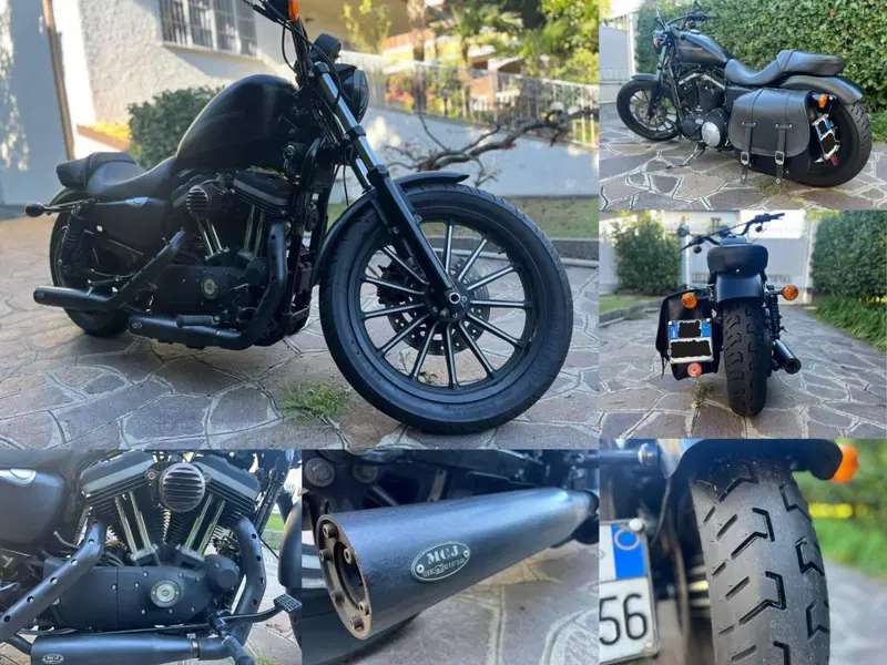 Harley-Davidson 883 Iron (2009 - 11) - XL 883N