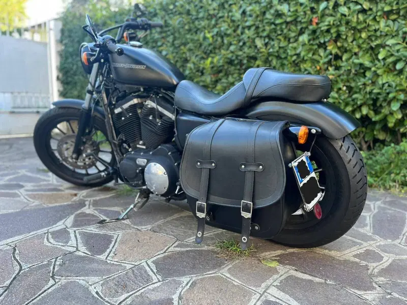 Harley-Davidson 883 Iron (2009 - 11) - XL 883N (2)