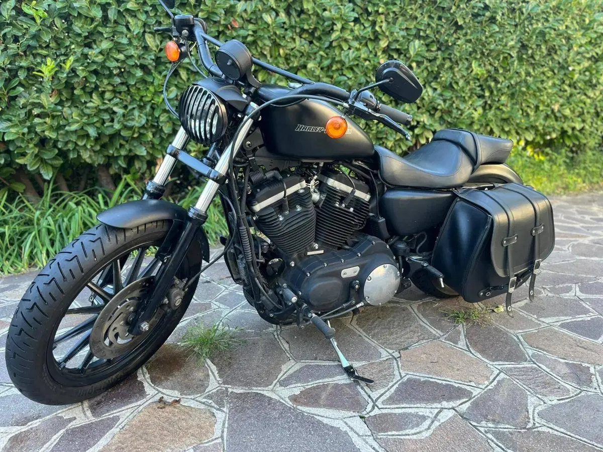 Harley-Davidson 883 Iron (2009 - 11) - XL 883N (4)