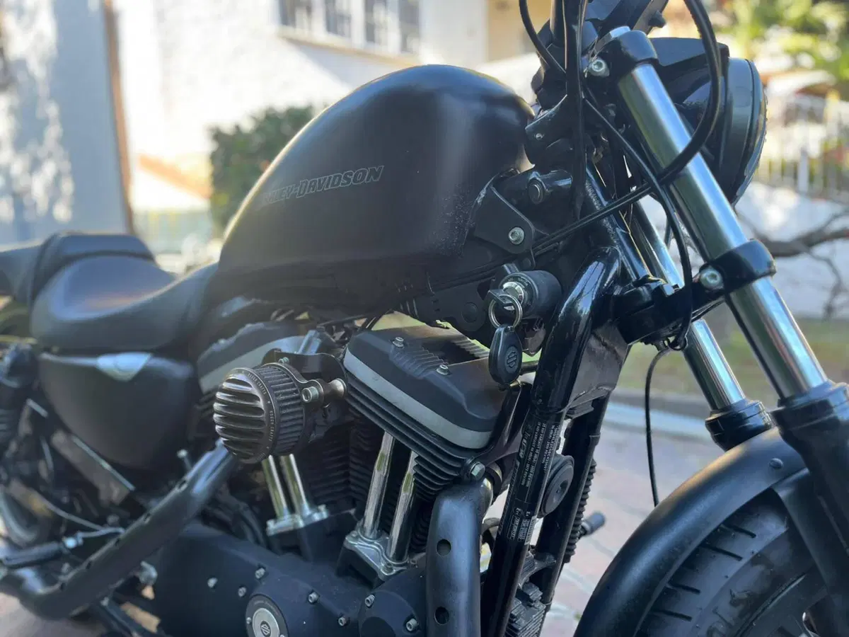 Harley-Davidson 883 Iron (2009 - 11) - XL 883N (11)