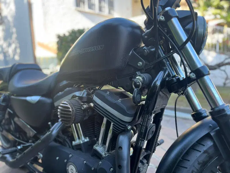 Harley-Davidson 883 Iron (2009 - 11) - XL 883N (11)
