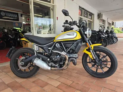 Ducati Scrambler 800 Icon (2017 - 20) usata