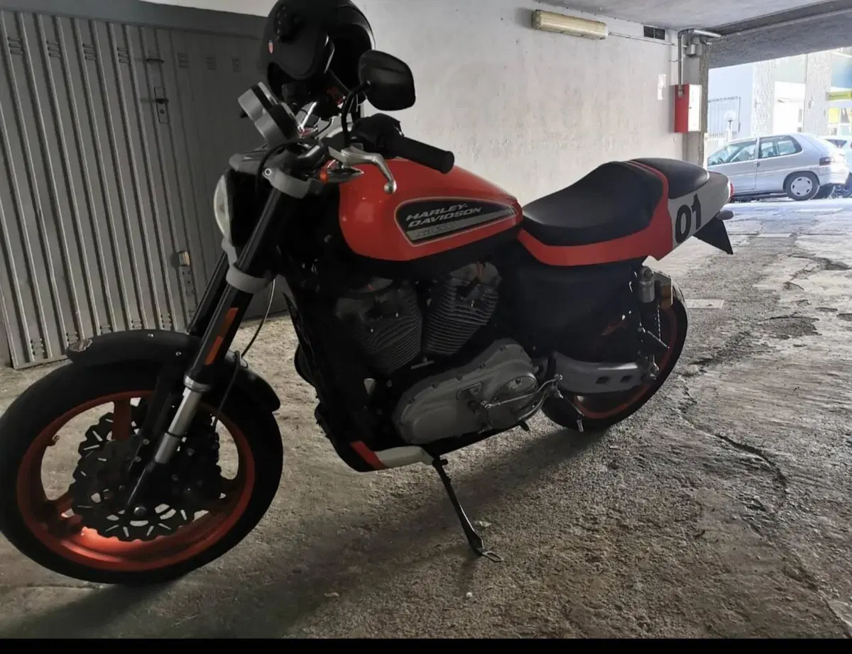 Harley-Davidson 1200 XR (2009 - 12) (3)