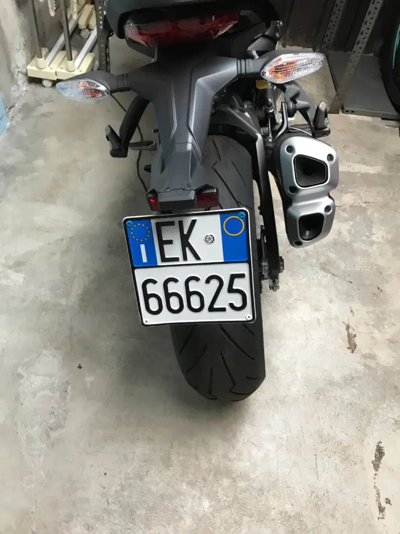 Ducati Monster 821 (2018 - 20) (5)