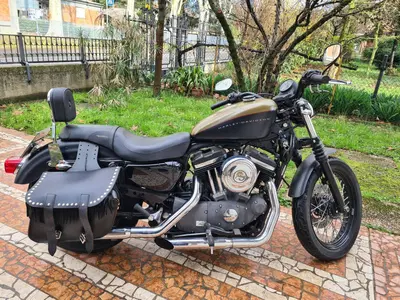 Harley-Davidson XL 1200N Nightster (2008 - 12) usata