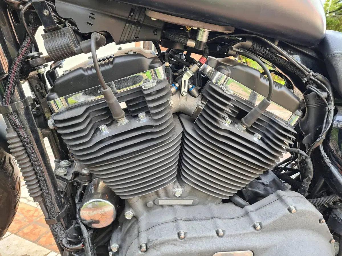Harley-Davidson XL 1200N Nightster (2008 - 12) (2)