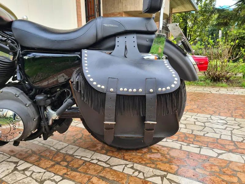 Harley-Davidson XL 1200N Nightster (2008 - 12) (4)