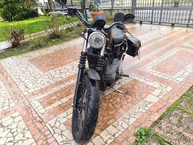 Harley-Davidson XL 1200N Nightster (2008 - 12) (7)