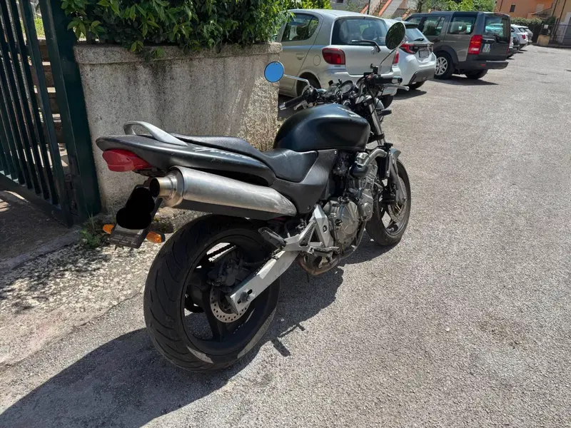 Honda Hornet (3)