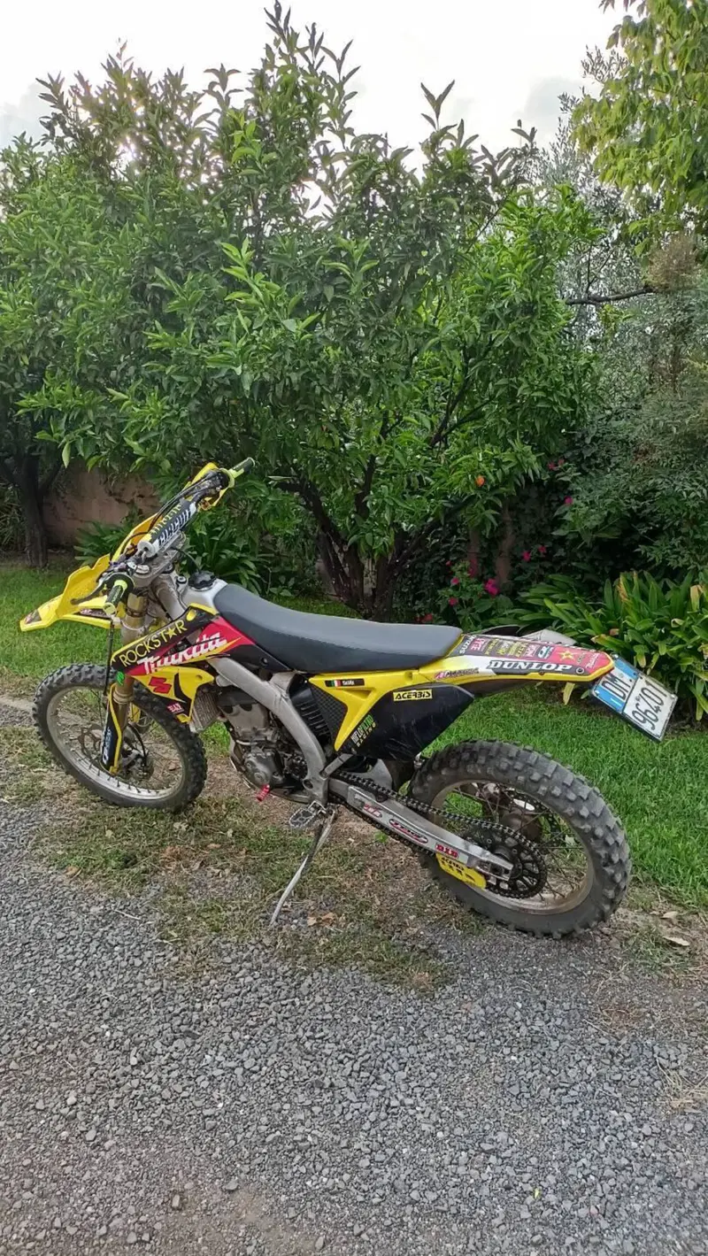 Suzuki RM-Z 250 (2011 - 2012) (4)