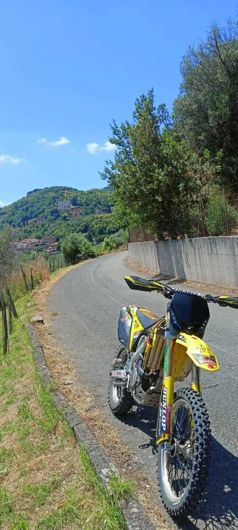 Suzuki RM-Z 250 (2011 - 2012) (6)