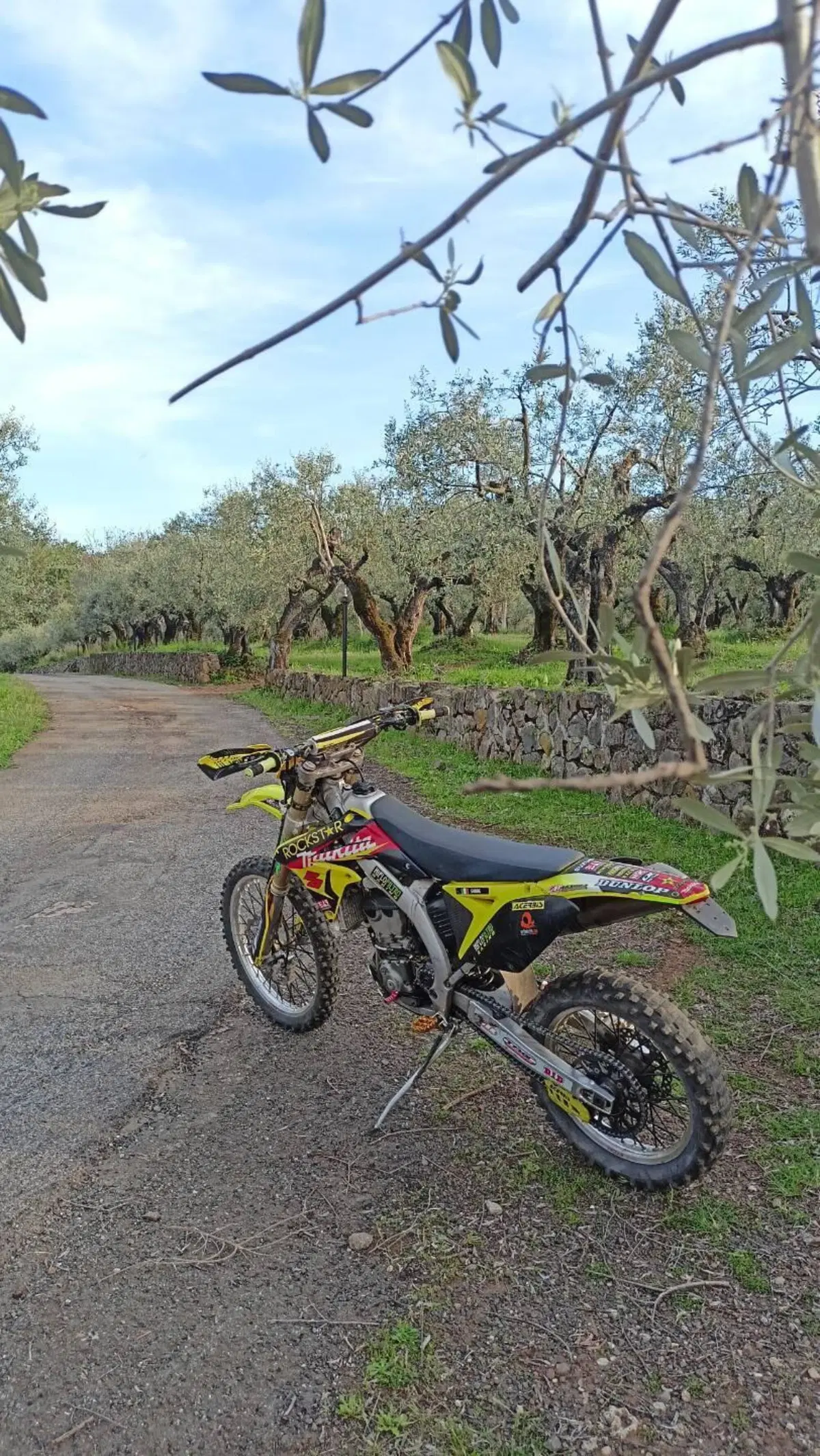 Suzuki RM-Z 250 (2011 - 2012) (8)