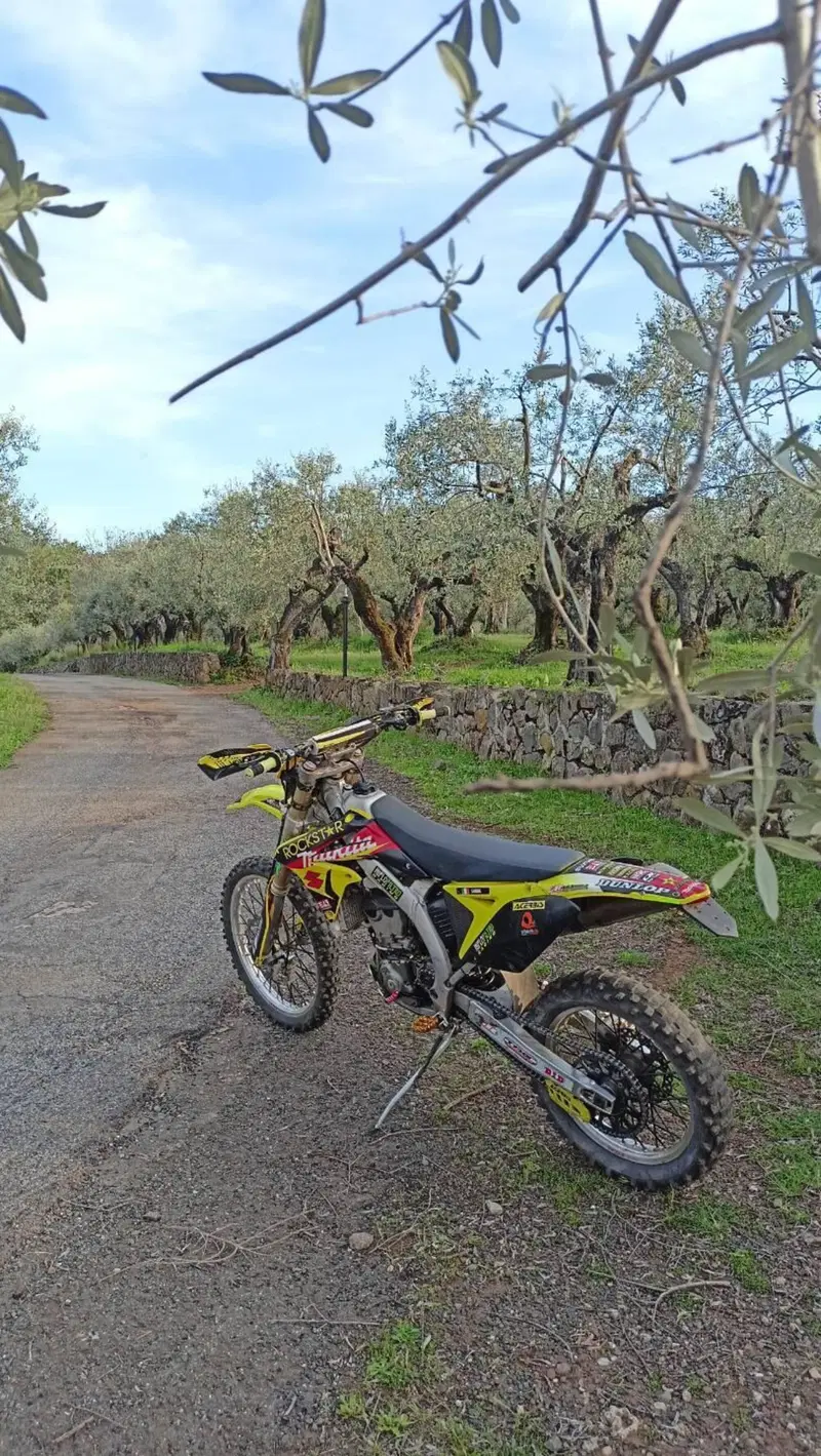 Suzuki RM-Z 250 (2011 - 2012) (8)